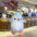 Cute Penguin Plush Keychain
