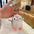 Cute Penguin Plush Keychain