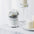 Eternal Rose Flower Aroma Diffuser