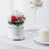 Eternal Rose Flower Aroma Diffuser