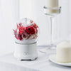 Eternal Rose Flower Aroma Diffuser